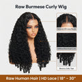 Raw Burmese Curly Human Hair Wig | HD Lace | 18"–30" thumbnail