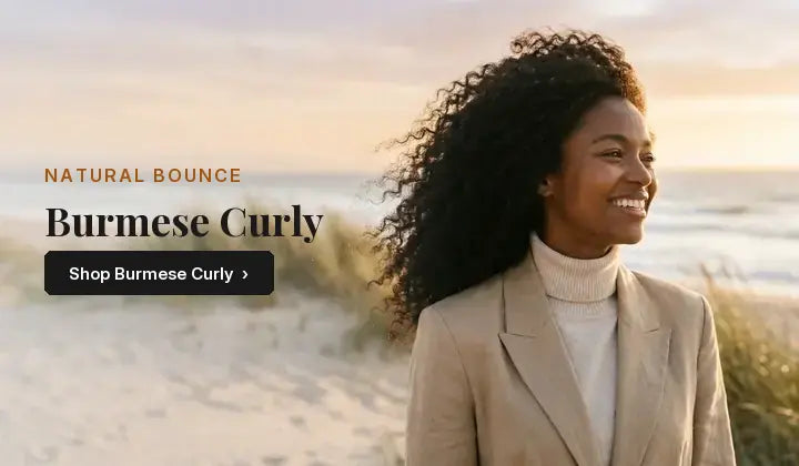 Burmese Curly collection banner (desktop)